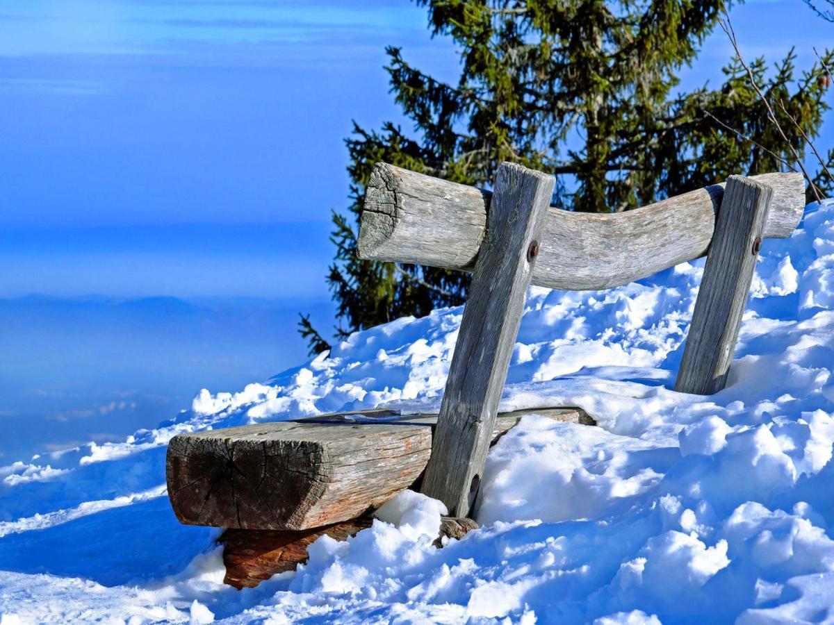 Vesterberg Apartments In Top Lage - Autofreier Urlaub! Schladming Exteriör bild